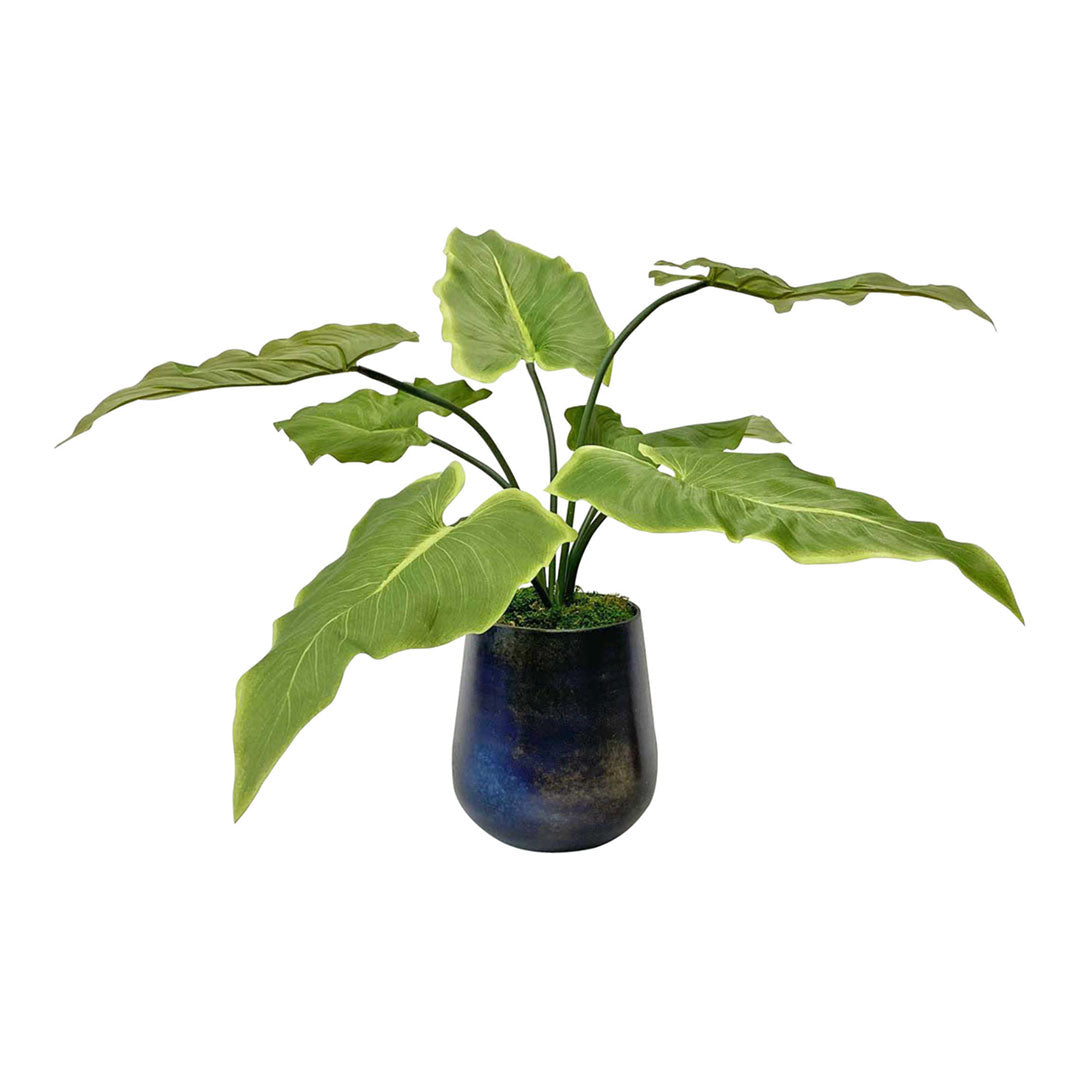 PLANTAS ARTIFICIALES