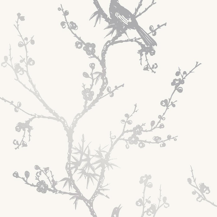 PAPEL DE PARED BIRD WATCHING